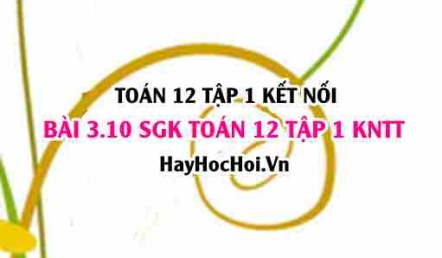 Bài 3.10 SGK Toán 12 tập 1 Kết nối tri thức
